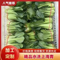 陕西西安产地精品上海青新鲜供应精品货源批发欢迎咨询