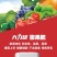 草莓番茄大力雄膨大果施肥生根壮苗促花膨果提糖增甜着色抗病