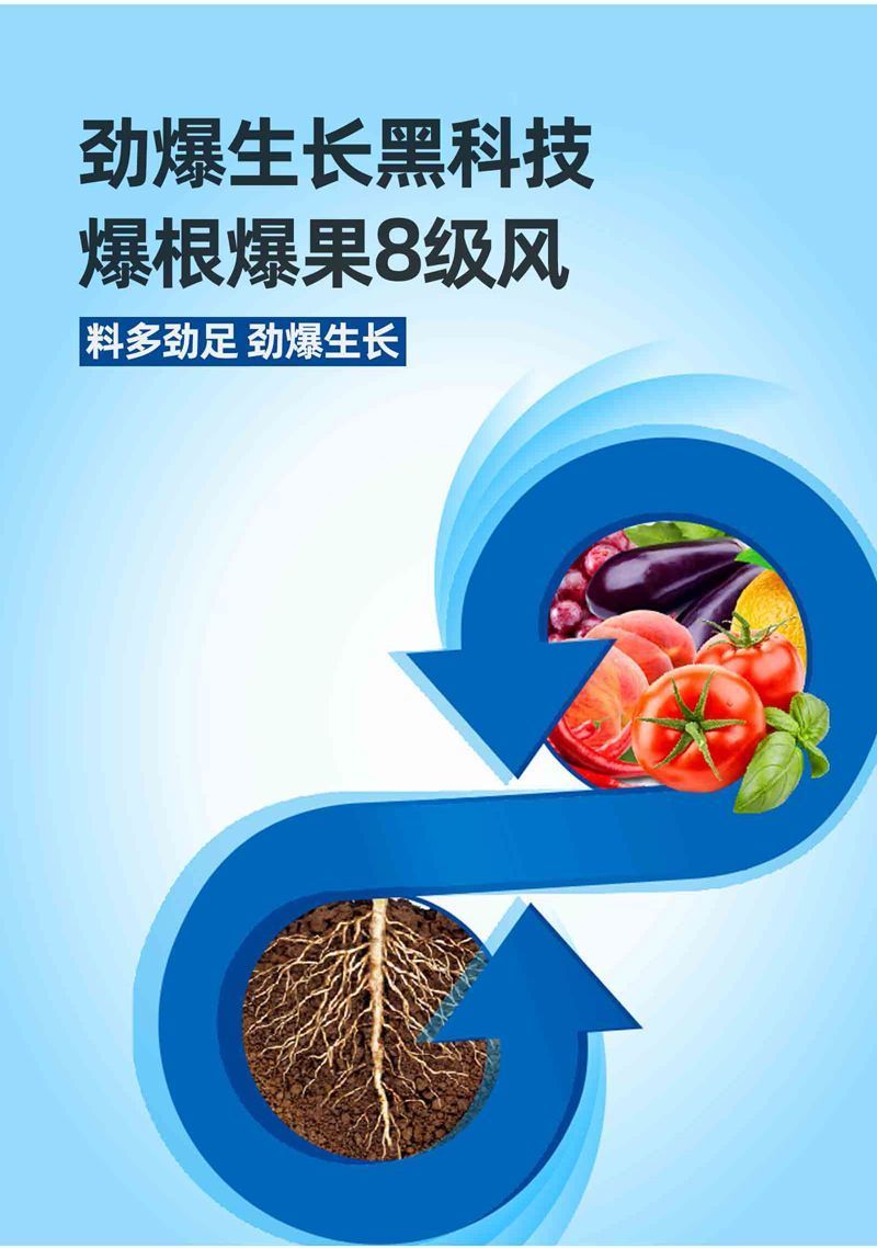 草莓番茄大力雄膨大果施肥生根壮苗促花膨果提糖增甜着色抗病