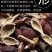 野生金樱子肉中药材无核大果新鲜无硫晒干专用泡酒去籽无添加