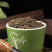 吴茱萸特级吴茱萸粉正宗吴茱萸中花吴萸吴茱萸野生中