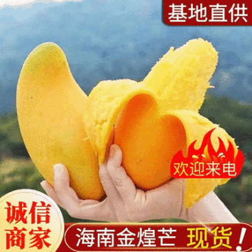 海南金煌芒对接全国批发市场电商平台社区团购