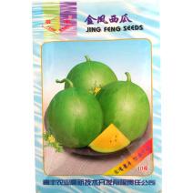 金凤西瓜种子绿皮黄瓤黄心西瓜皮薄糖度高迷你西瓜