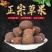 草果草果粉草果炖肉卤肉调味料香辛料中药