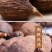 草果仁香料调料草果粉卤肉料炖肉料配料调味料中药