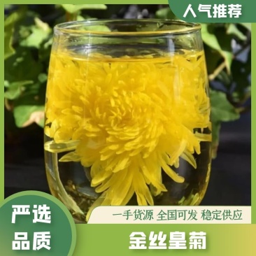金丝皇菊品质保证产地直发可视频看货欢迎咨询