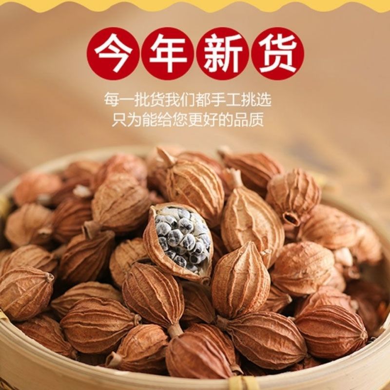 砂仁中药材香砂卤料香料卤肉火锅底料去腥香料