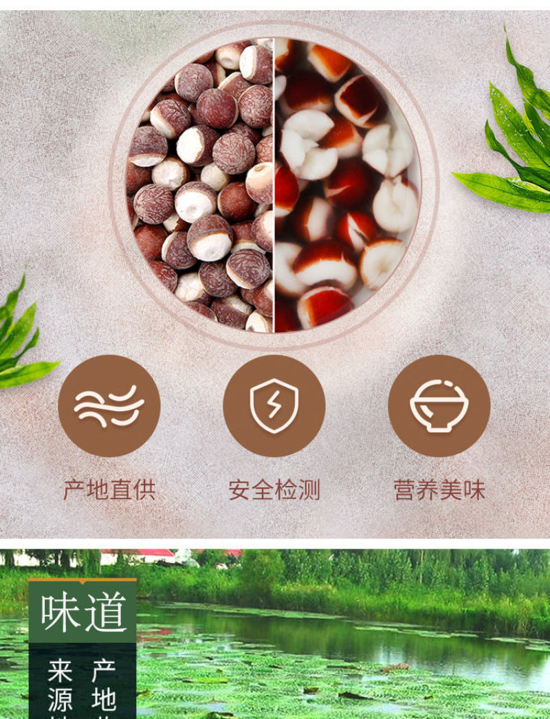 新货芡实肇庆干货欠实鸡头米