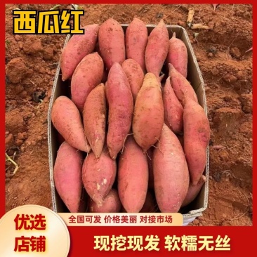 广东红薯精品西瓜红大量有货，品质保障，诚信经营来电优惠