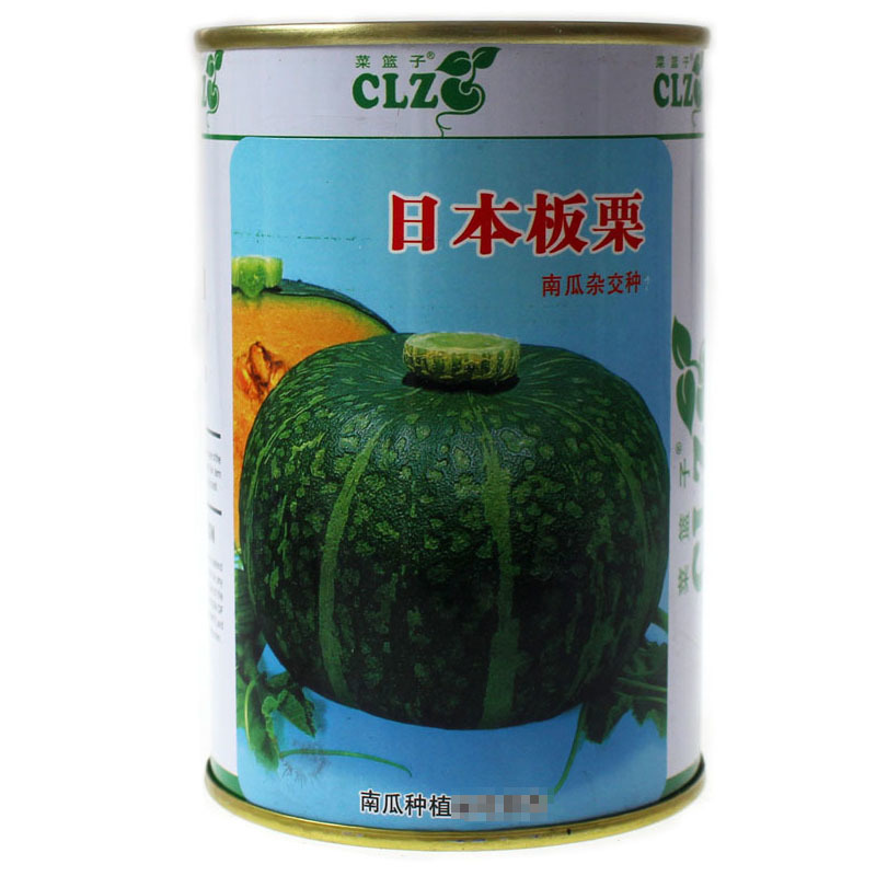 日本板栗南瓜种子甜栗南瓜甘面扁圆形肉厚