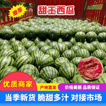 【精品】云南甜王西瓜，大吨位供应，货优！支持视频看货！