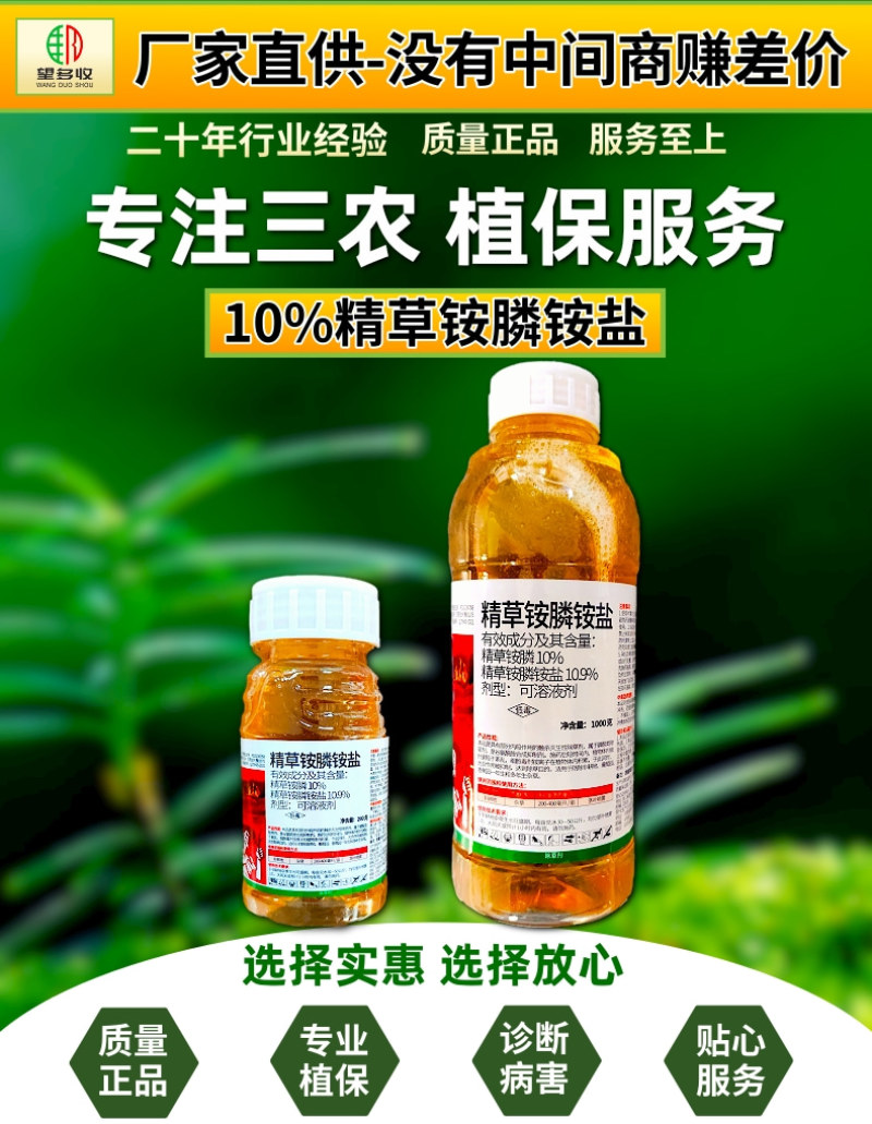 10.9%精草铵膦铵盐快速除草不伤作物根系非耕地使用