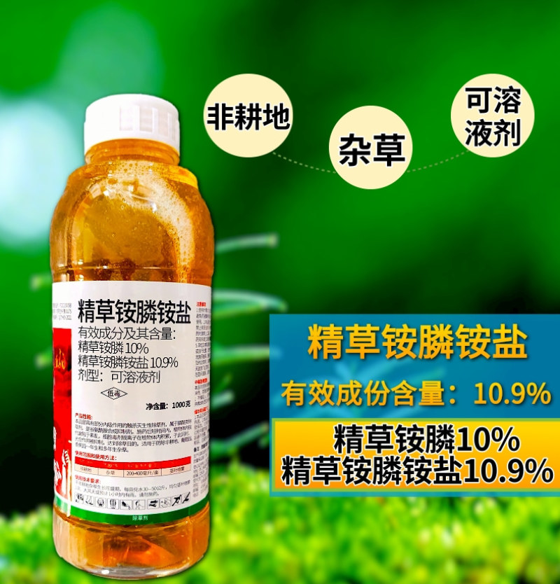 10.9%精草铵膦铵盐快速除草不伤作物根系非耕地使用