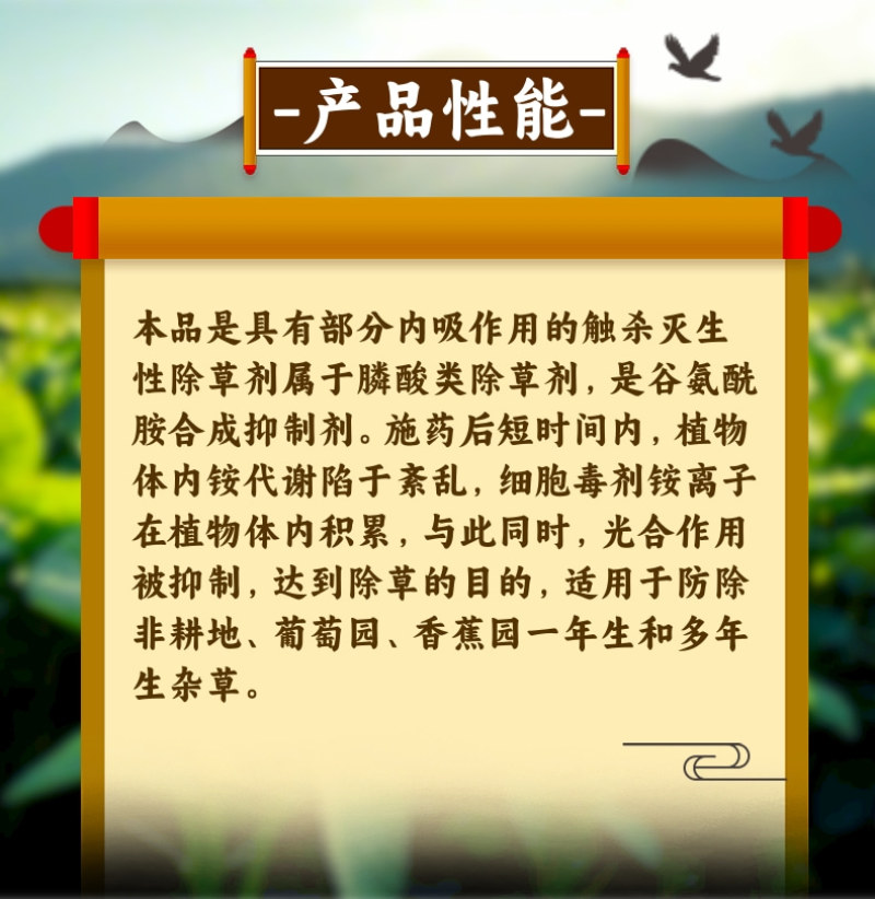 10.9%精草铵膦铵盐快速除草不伤作物根系非耕地使用