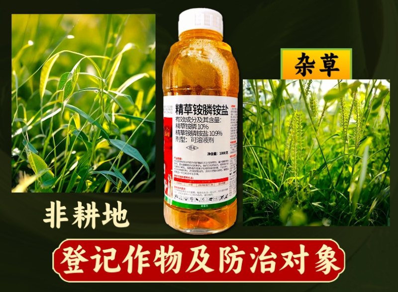 10.9%精草铵膦铵盐快速除草不伤作物根系非耕地使用