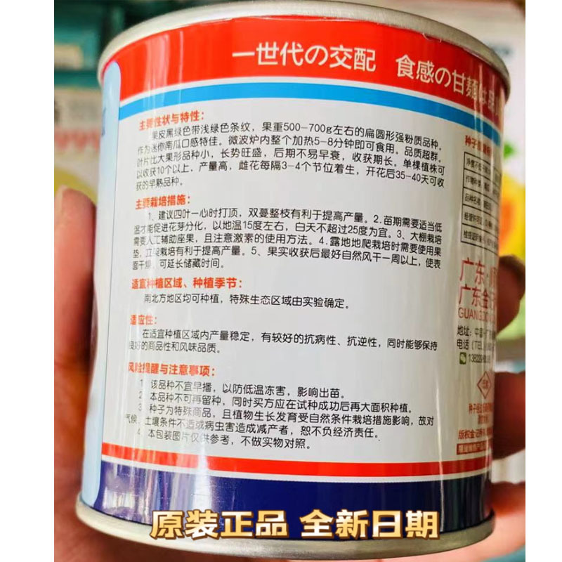 坂田贝贝迷你南瓜种子口感好粉面香甜早熟高产商品性