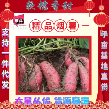 烟薯25烤块红心烤薯糖份高流糖无丝软糯甜基地直销新鲜现挖