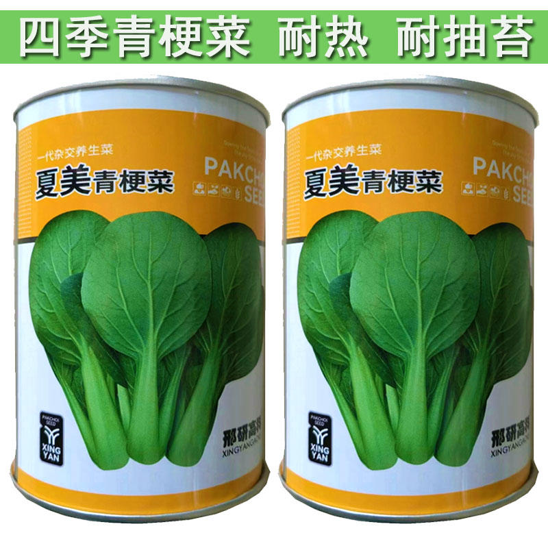 夏美青梗菜种子速生上海青鸡毛菜油绿青菜四季播耐抽