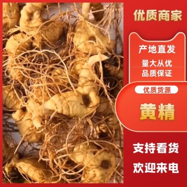 黄精货源充足，质量保证，欢迎来电咨询选购