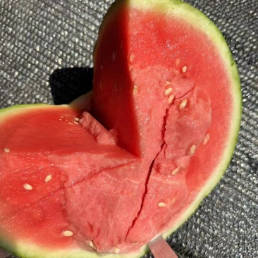 夏邑西瓜，麒麟美都西瓜，产地供货，糖度13，对接市场，