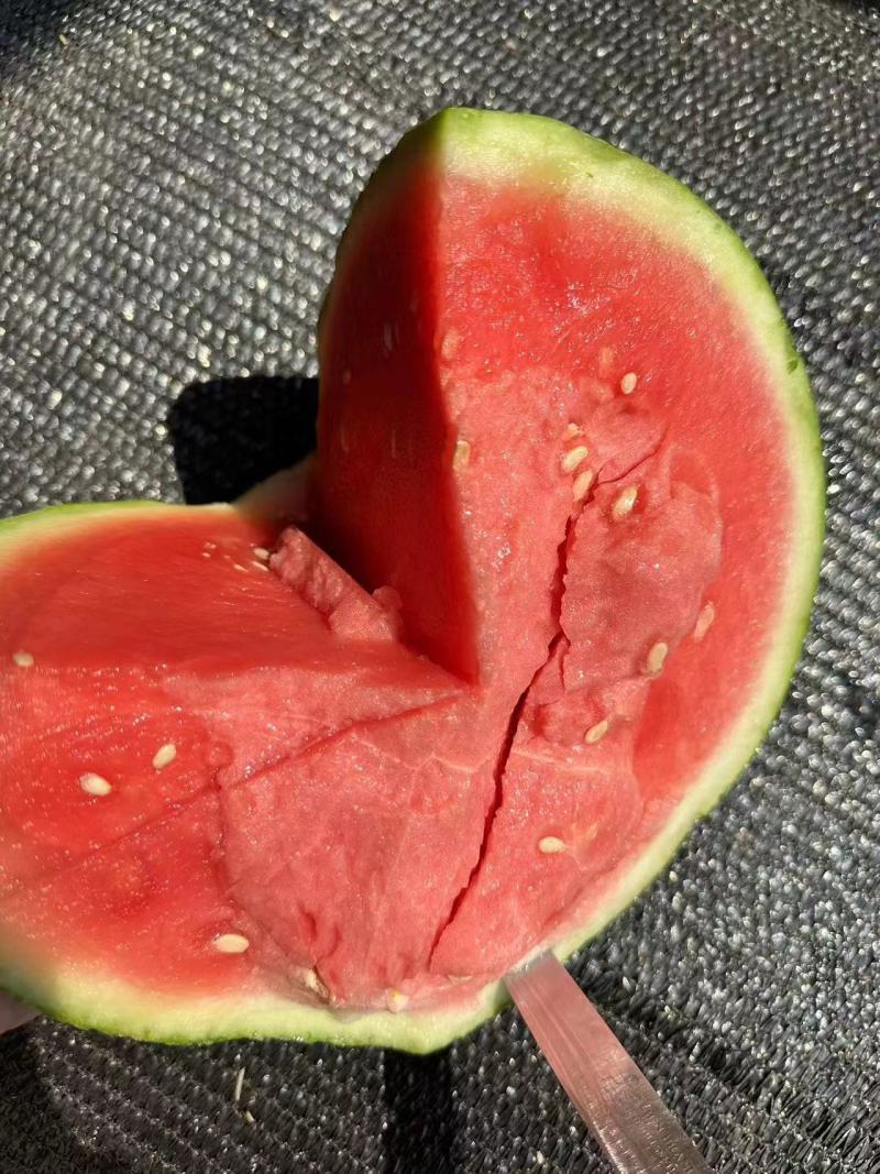 夏邑西瓜，麒麟美都西瓜，产地供货，糖度13，对接市场，