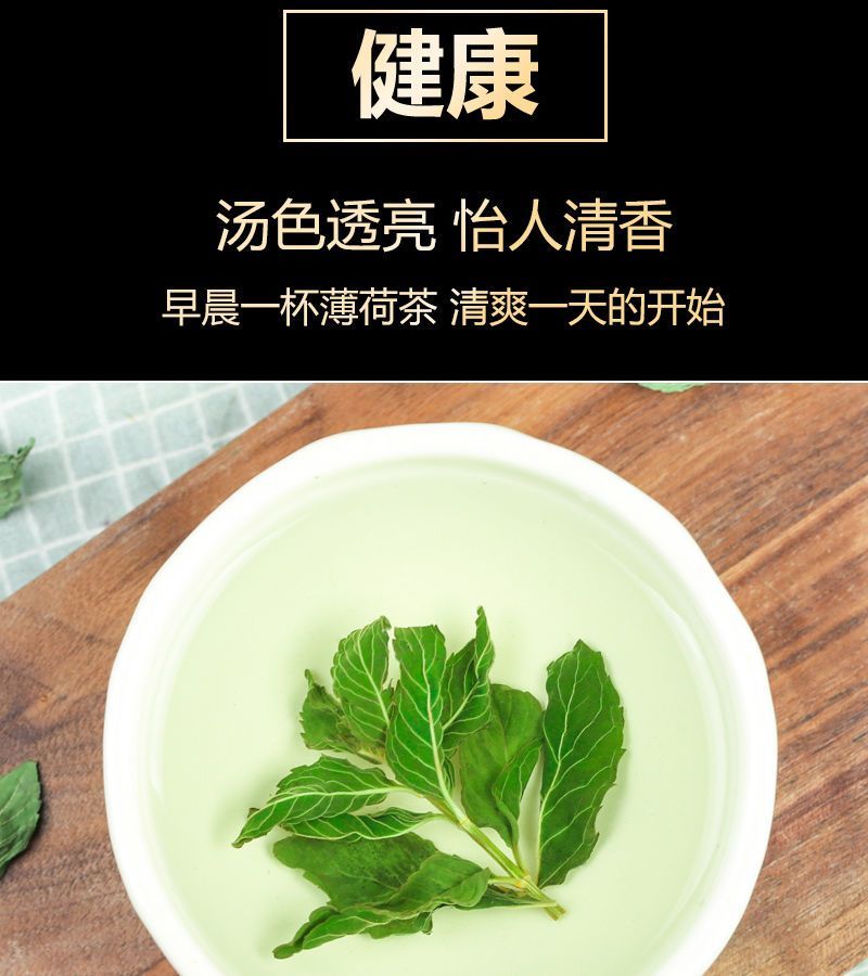 薄荷叶泡水新鲜薄荷茶干薄荷叶茶食用清凉罐