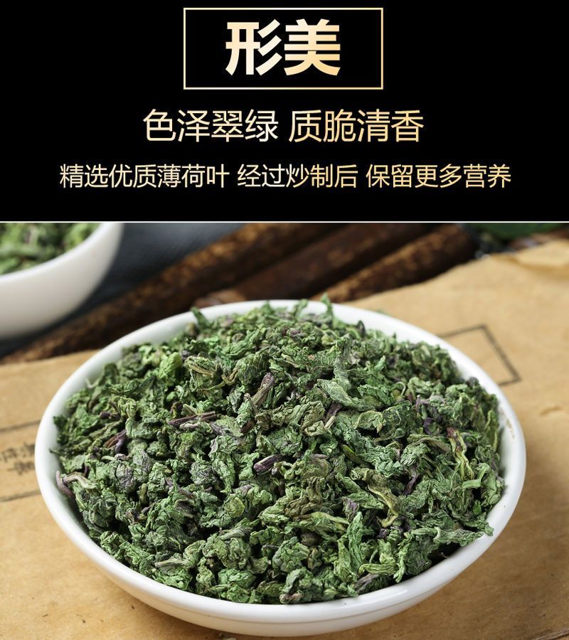 薄荷叶泡水新鲜薄荷茶干薄荷叶茶食用清凉罐