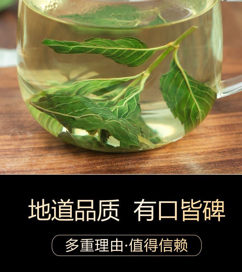 薄荷叶泡水新鲜薄荷茶干薄荷叶茶食用清凉罐
