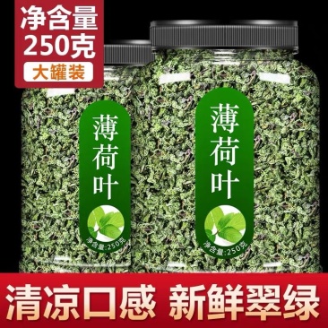 薄荷叶泡水新鲜薄荷茶薄荷叶干薄荷茶叶泡茶清新口气