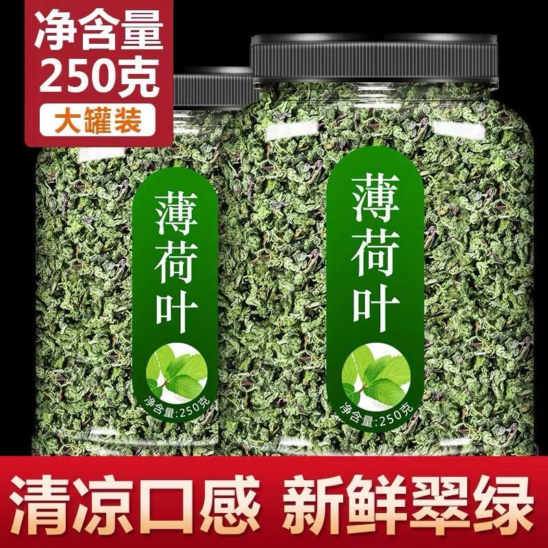 薄荷叶泡水新鲜薄荷茶薄荷叶干薄荷茶叶泡茶清新口气