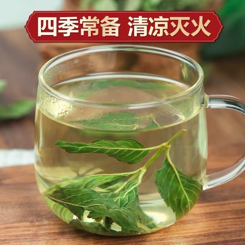 薄荷叶泡水新鲜薄荷茶薄荷叶干薄荷茶叶泡茶清新口气