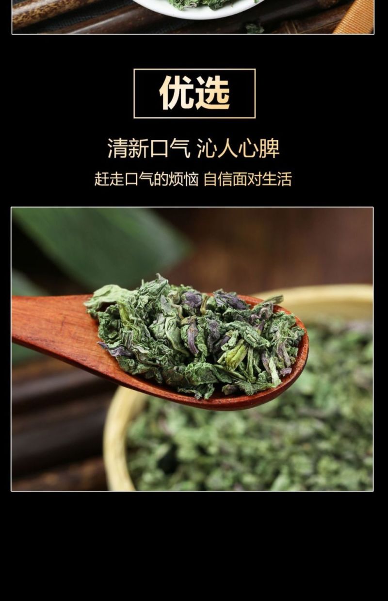 薄荷叶泡水新鲜薄荷茶薄荷叶干薄荷茶叶泡茶清新口气
