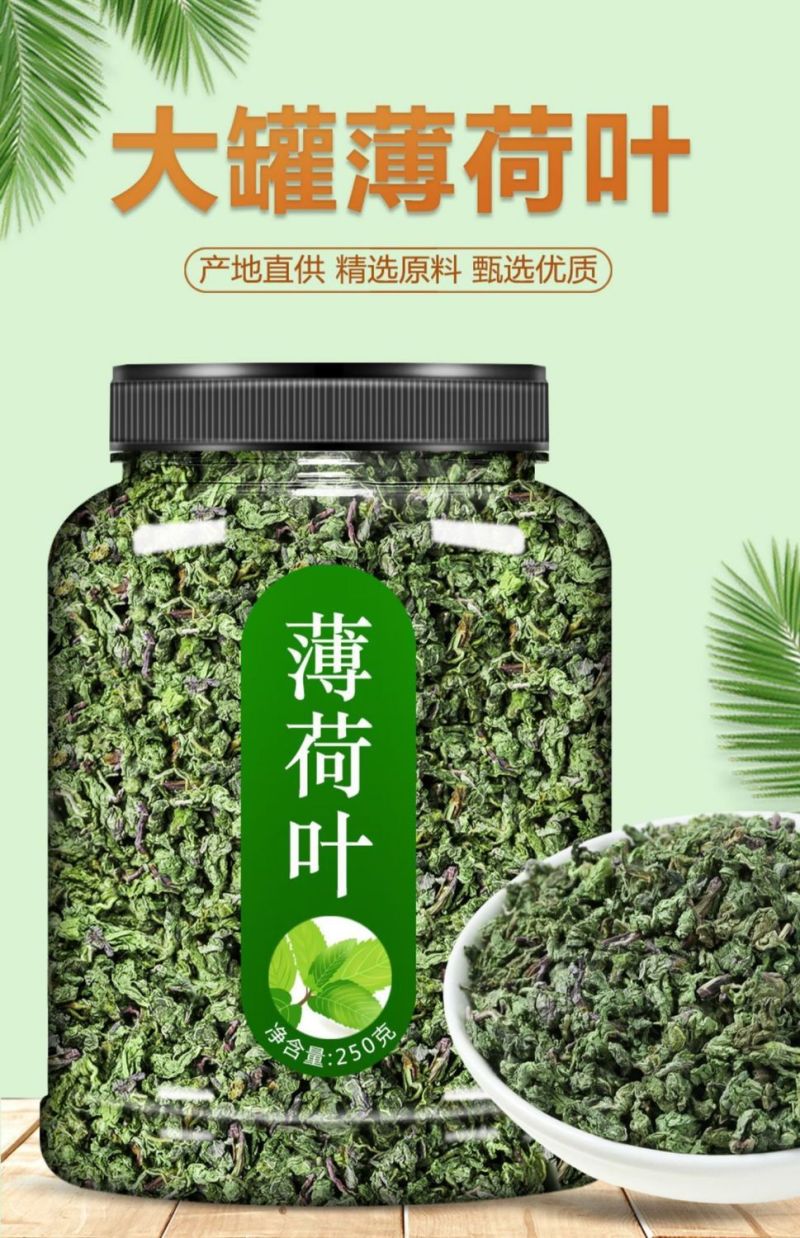 薄荷叶泡水新鲜薄荷茶薄荷叶干薄荷茶叶泡茶清新口气