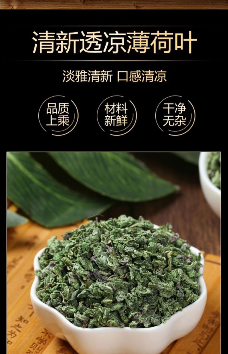薄荷叶泡水新鲜薄荷茶薄荷叶干薄荷茶叶泡茶清新口气