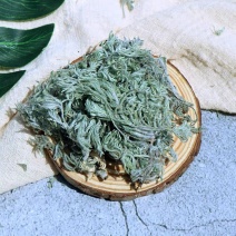 茵陈茶整颗茵陈蒿茶新鲜泡水绵茵陈中药材