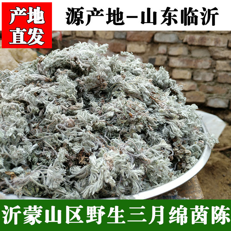 (三月茵陈)沂蒙山野生绵茵陈白蒿茵陈草茵陈茶