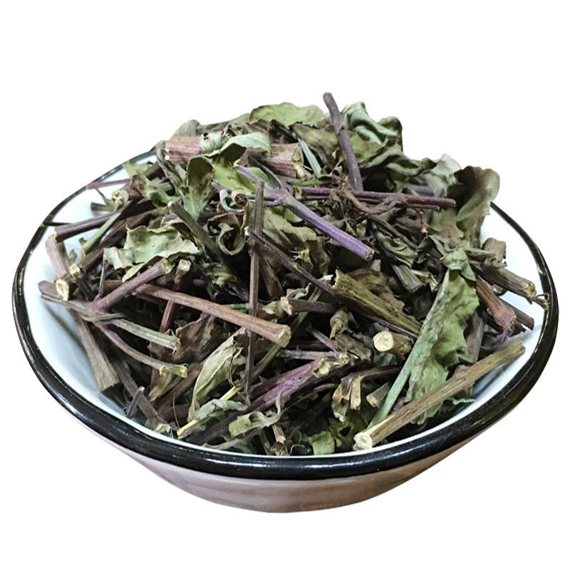 云南西双版纳猫须草新鲜当季野生茶清凉泡水