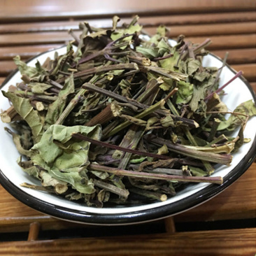 云南西双版纳猫须草新鲜当季野生茶清凉泡水
