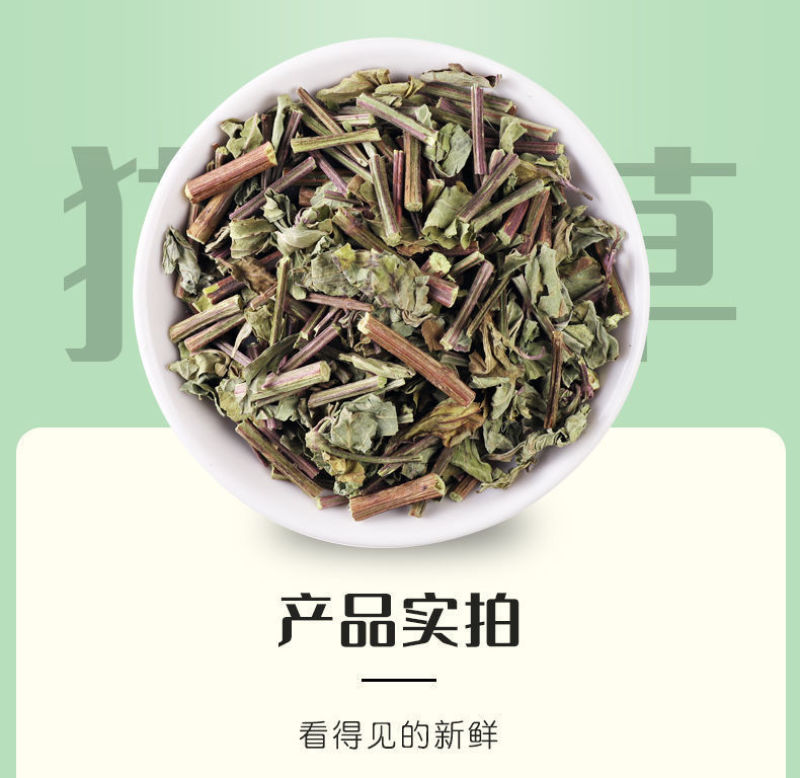 云南西双版纳猫须草新鲜当季野生茶清凉泡水