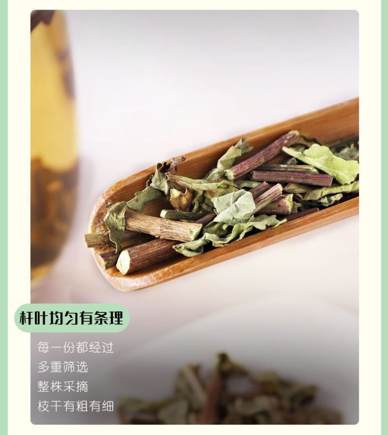 云南西双版纳猫须草新鲜当季野生茶清凉泡水