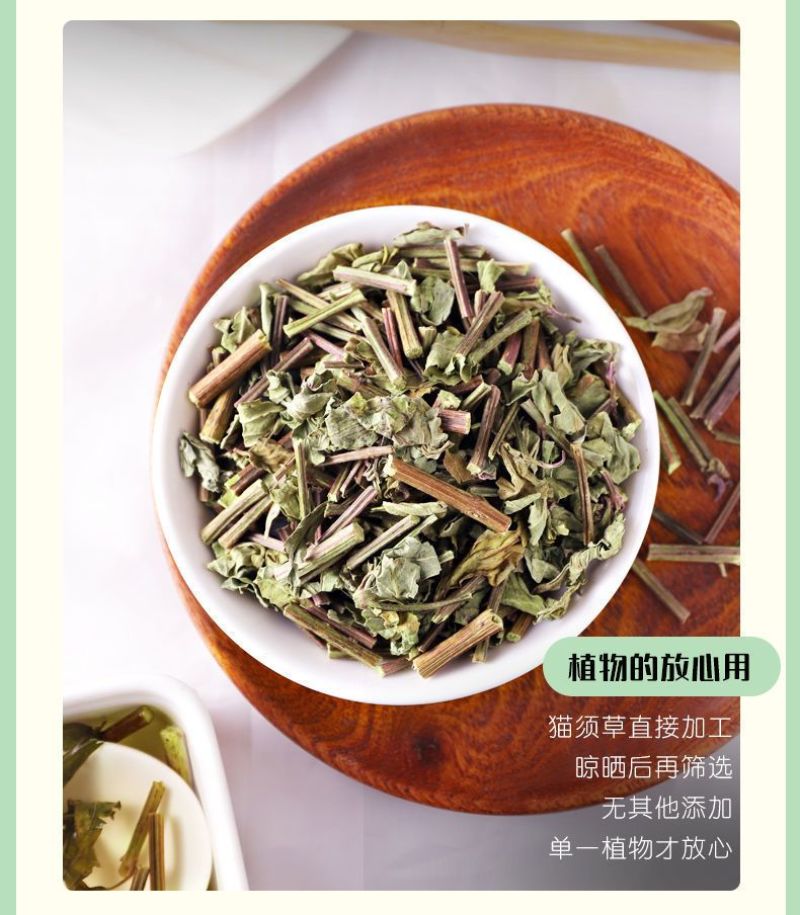 云南西双版纳猫须草新鲜当季野生茶清凉泡水