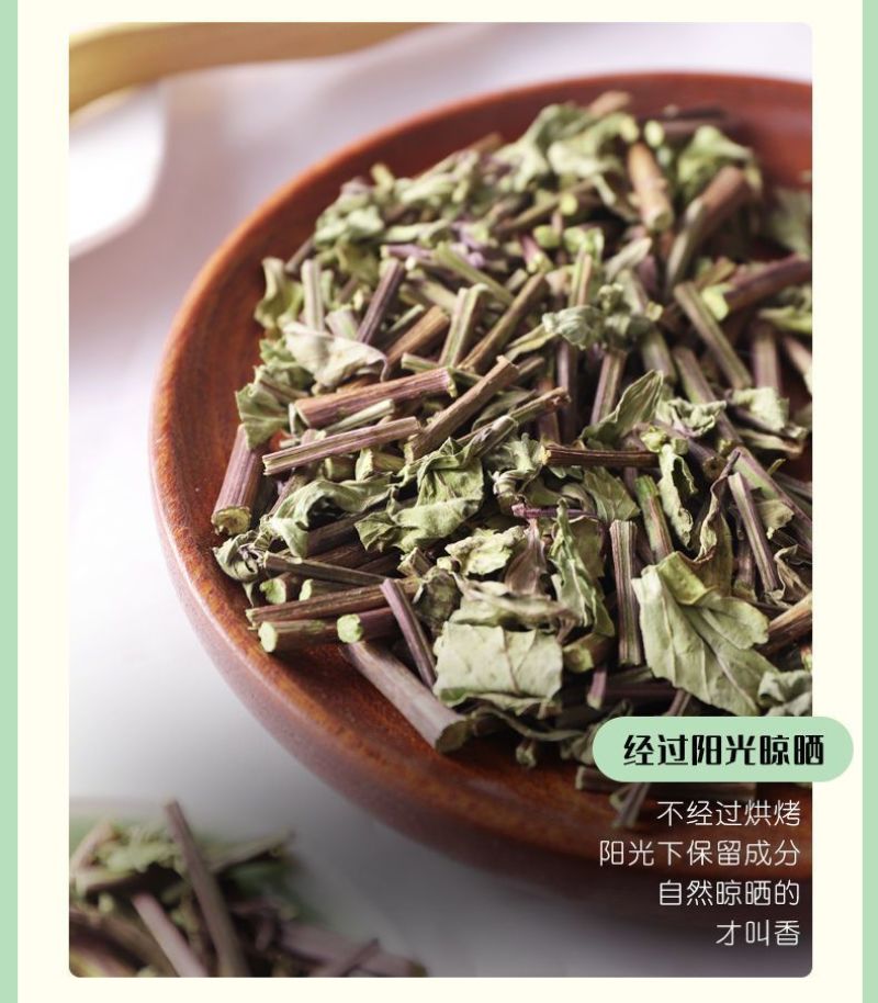 云南西双版纳猫须草新鲜当季野生茶清凉泡水