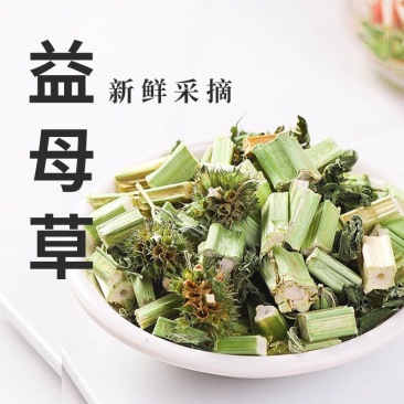益母草中药材干货泡茶新鲜泡水喝泡茶益母草干红糖水