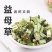 益母草中药材干货泡茶新鲜泡水喝泡茶益母草干红糖水