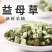 益母草中药材干货泡茶新鲜泡水喝泡茶益母草干红糖水