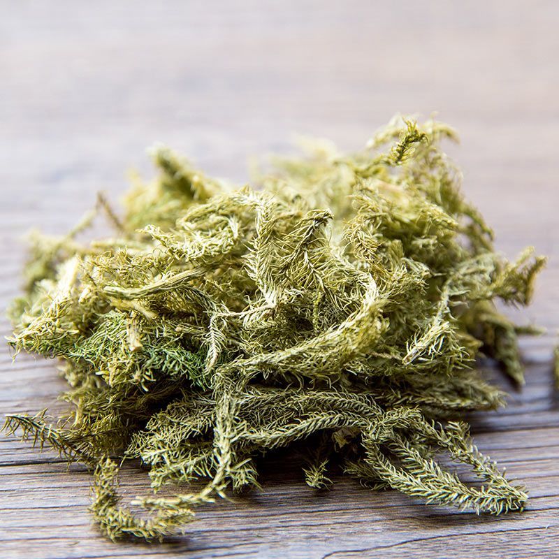 新货伸筋草野生舒筋草透骨草