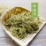 新货伸筋草野生舒筋草透骨草