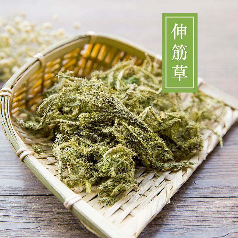新货伸筋草野生舒筋草透骨草