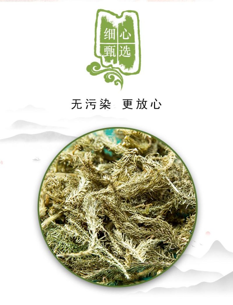 新货伸筋草野生舒筋草透骨草