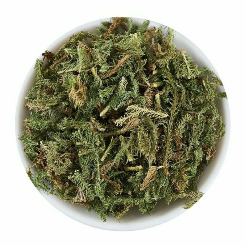 中药材伸筋草筋骨草新货透骨草舒筋草